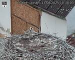 Capi_Dubne_20250817_103003.jpg