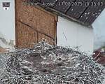 Capi_Dubne_20250817_103503.jpg