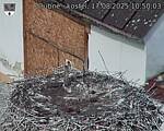 Capi_Dubne_20250817_105003.jpg