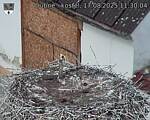 Capi_Dubne_20250817_113004.jpg