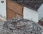 Capi_Dubne_20250817_113503.jpg