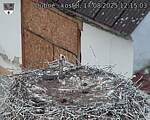 Capi_Dubne_20250817_121503.jpg