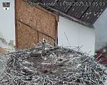 Capi_Dubne_20250817_130503.jpg