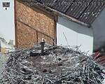 Capi_Dubne_20250817_133003.jpg