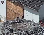 Capi_Dubne_20250817_134003.jpg