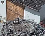 Capi_Dubne_20250817_134503.jpg