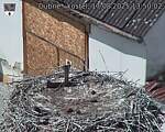 Capi_Dubne_20250817_135002.jpg