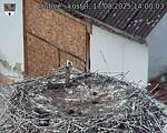Capi_Dubne_20250817_140003.jpg
