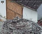 Capi_Dubne_20250817_140503.jpg