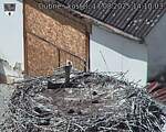 Capi_Dubne_20250817_141003.jpg