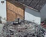 Capi_Dubne_20250817_142003.jpg