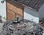 Capi_Dubne_20250817_144003.jpg