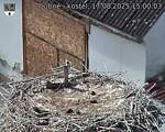 Capi_Dubne_20250817_150003.jpg
