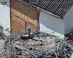 Capi_Dubne_20250817_152003.jpg