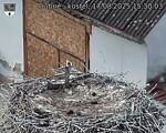 Capi_Dubne_20250817_153003.jpg