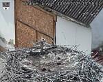 Capi_Dubne_20250817_155002.jpg