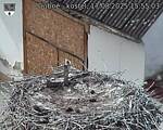 Capi_Dubne_20250817_155503.jpg