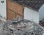 Capi_Dubne_20250817_161003.jpg