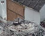 Capi_Dubne_20250817_161503.jpg