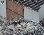 Capi_Dubne_20250817_162503.jpg