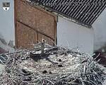 Capi_Dubne_20250817_163003.jpg