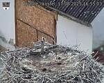 Capi_Dubne_20250817_165503.jpg