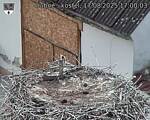 Capi_Dubne_20250817_170003.jpg