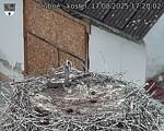Capi_Dubne_20250817_172002.jpg