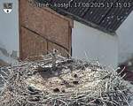 Capi_Dubne_20250817_173503.jpg