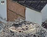 Capi_Dubne_20250817_174003.jpg