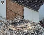 Capi_Dubne_20250817_180503.jpg