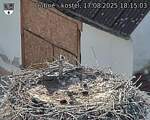 Capi_Dubne_20250817_181503.jpg