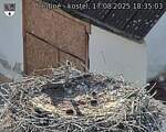 Capi_Dubne_20250817_183503.jpg