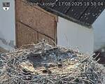 Capi_Dubne_20250817_185004.jpg