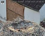 Capi_Dubne_20250817_190002.jpg