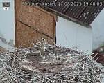 Capi_Dubne_20250817_194003.jpg