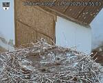 Capi_Dubne_20250817_195503.jpg