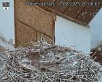 Capi_Dubne_20250817_200002.jpg