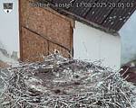 Capi_Dubne_20250817_200503.jpg