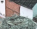 Capi_Dubne_20250817_202503.jpg