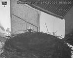 Capi_Dubne_20250817_205503.jpg