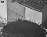 Capi_Dubne_20250817_210004.jpg