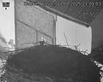 Capi_Dubne_20250817_210503.jpg
