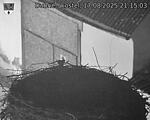 Capi_Dubne_20250817_211503.jpg