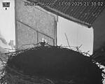 Capi_Dubne_20250817_213002.jpg