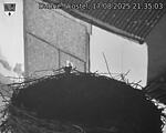 Capi_Dubne_20250817_213503.jpg