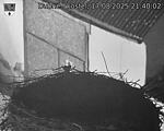 Capi_Dubne_20250817_214002.jpg