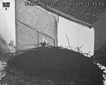 Capi_Dubne_20250817_214503.jpg