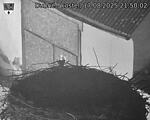 Capi_Dubne_20250817_215002.jpg