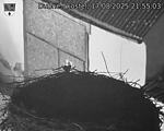 Capi_Dubne_20250817_215503.jpg